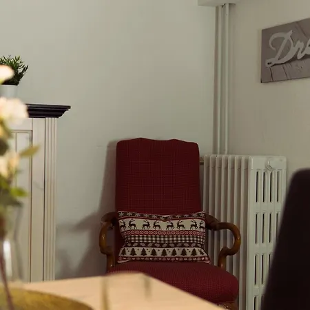 Apartment Hirsch: Wohnung Fuer Die Ganze Familie Mit Disney+ Braunlage Zewnętrze zdjęcie